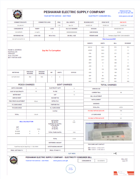 PAKISTAN PESHAWAR ELECTRIC SUPPLY COMPANY utility bill Word and PDF template